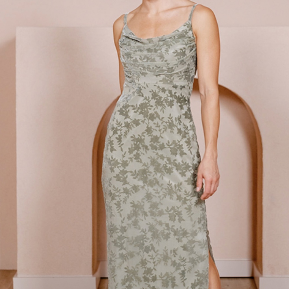 Revelry Skye Floral Burnout Velvet Dress